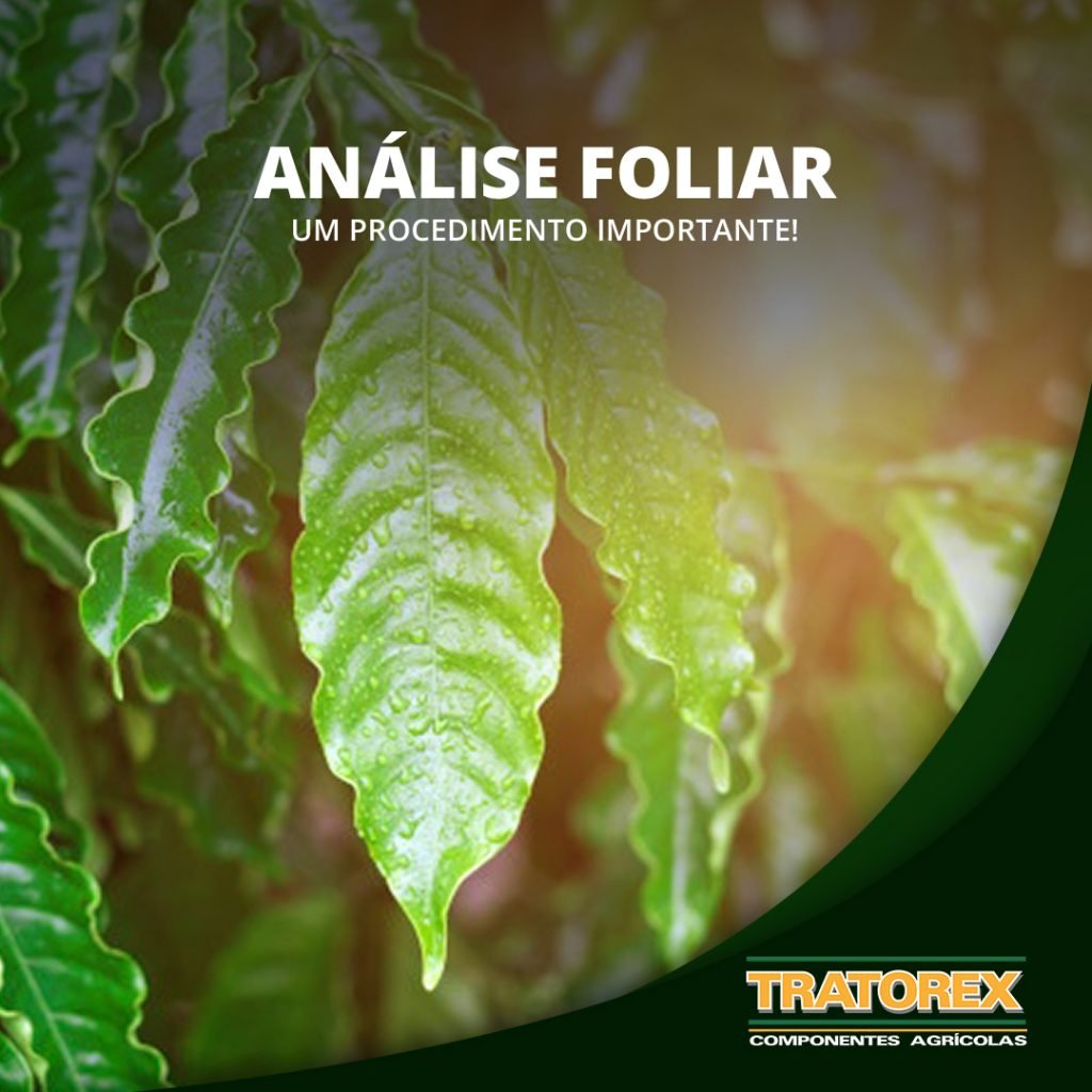 Tratorex - Análise Foliar 02