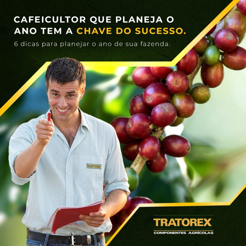 Cafeicultor que planeja o ano tem a chave do sucesso.