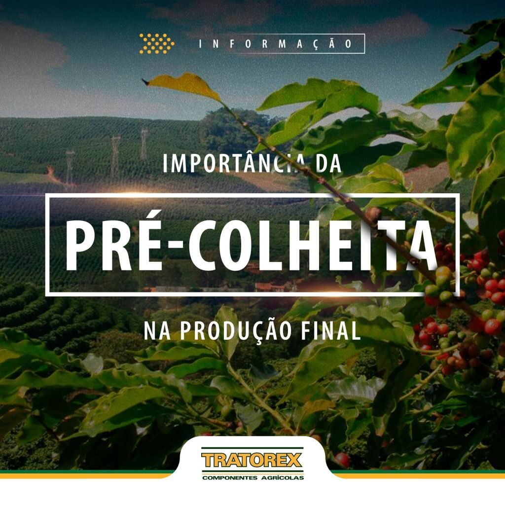 Pré-Colheita